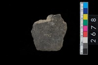 藏品(腹片)的圖片