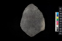 藏品(腹片)的圖片