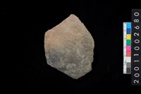 藏品(腹片)的圖片