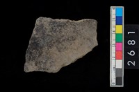 藏品(腹片)的圖片