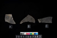 藏品(腹片)的圖片