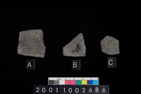 藏品(腹片)的圖片