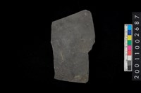 藏品(腹片)的圖片