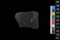 藏品(黑陶腹片)的圖片