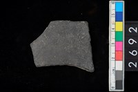 藏品(黑陶腹片)的圖片