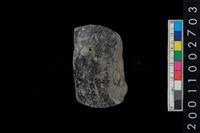 藏品(帶鈕腹片)的圖片