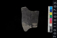 藏品(腹片)的圖片