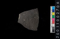 藏品(腹片)的圖片