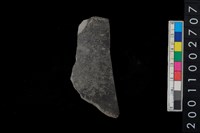 藏品(腹片)的圖片