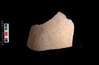 藏品(腹片)的圖片