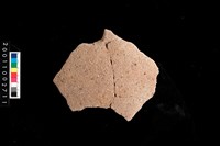 藏品(腹片)的圖片