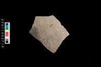 藏品(腹片)的圖片