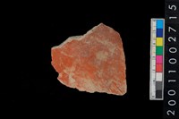 藏品(腹片)的圖片