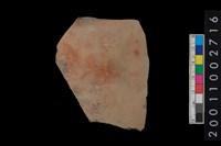 藏品(腹片)的圖片