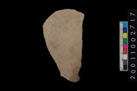 藏品(腹片)的圖片