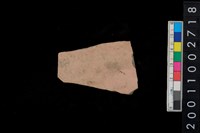 藏品(腹片)的圖片