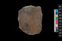 藏品(腹片)的圖片