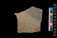 藏品(腹片)的圖片