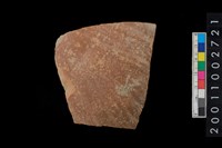 藏品(腹片)的圖片