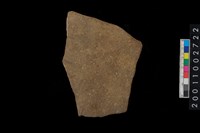 藏品(腹片)的圖片