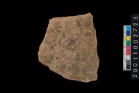 藏品(腹片)的圖片