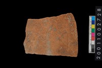 藏品(腹片)的圖片