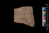 藏品(腹片)的圖片