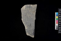 藏品(腹片)的圖片