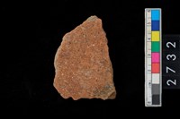 藏品(腹片)的圖片