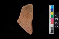 藏品(腹片)的圖片