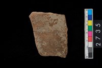 藏品(腹片)的圖片