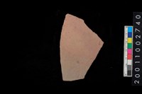 藏品(腹片)的圖片