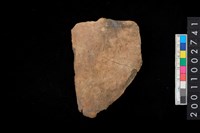 藏品(腹片)的圖片