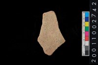 藏品(腹片)的圖片