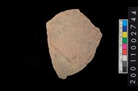 藏品(腹片)的圖片