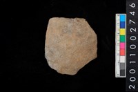 藏品(腹片)的圖片