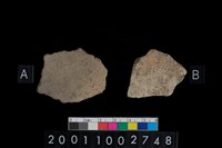 藏品(腹片)的圖片