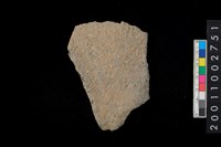 藏品(腹片)的圖片