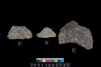 藏品(腹片及折肩)的圖片
