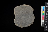 藏品(腹片)的圖片