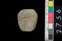 藏品(腹片)的圖片