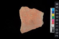 藏品(腹片)的圖片