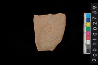 藏品(腹片)的圖片