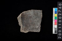 藏品(腹片)的圖片