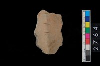 藏品(折肩)的圖片