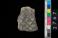 藏品(方格印紋腹片)的圖片