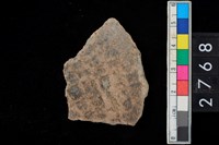 藏品(方格印紋腹片)的圖片