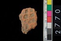 藏品(方格印紋腹片)的圖片