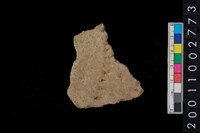 藏品(刺點紋腹片)的圖片