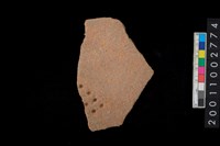 藏品(刺點紋腹片)的圖片